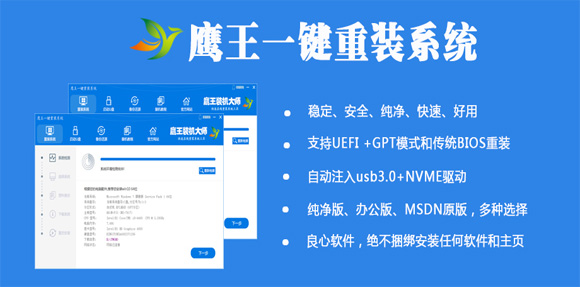 鹰王一键重装系统 V20.3